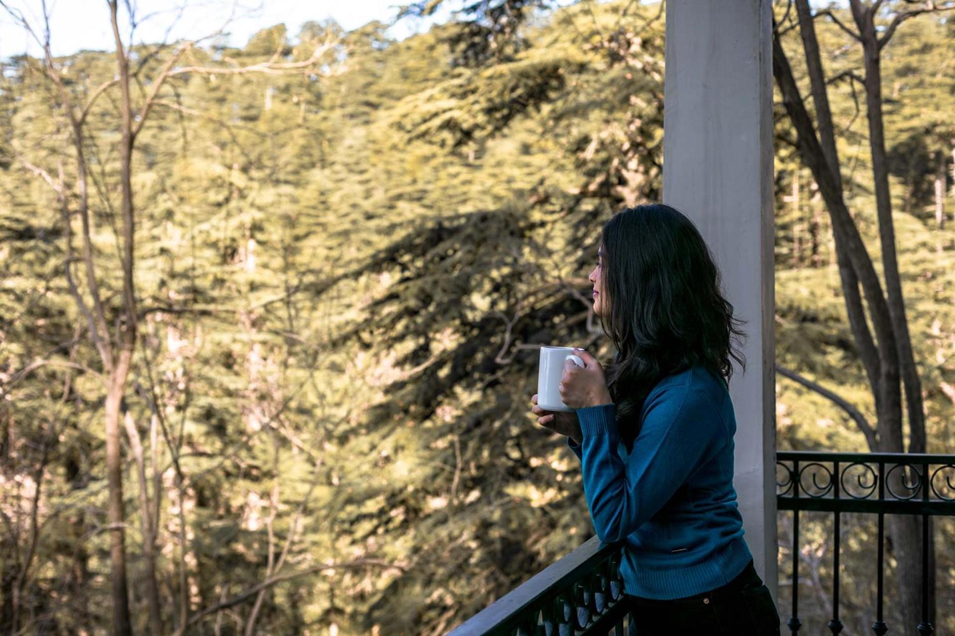 Stayvista At Pine Estate With Outdoor Jacuzzi Shimla Eksteriør billede